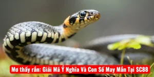 Mơ thấy rắn: Giải Mã Ý Nghĩa Và Con Số May Mắn Tại SC88